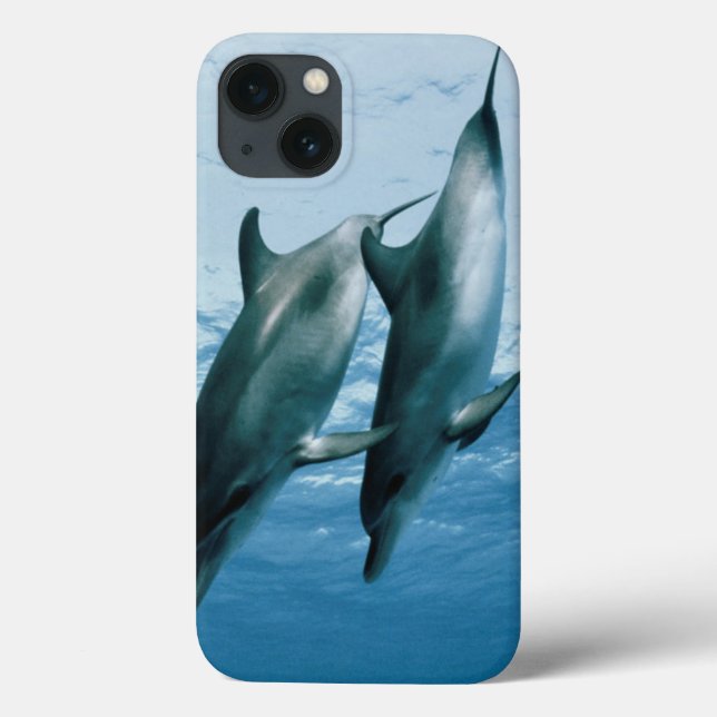 Pair of Dolphins Case-Mate iPhone Case (Back)