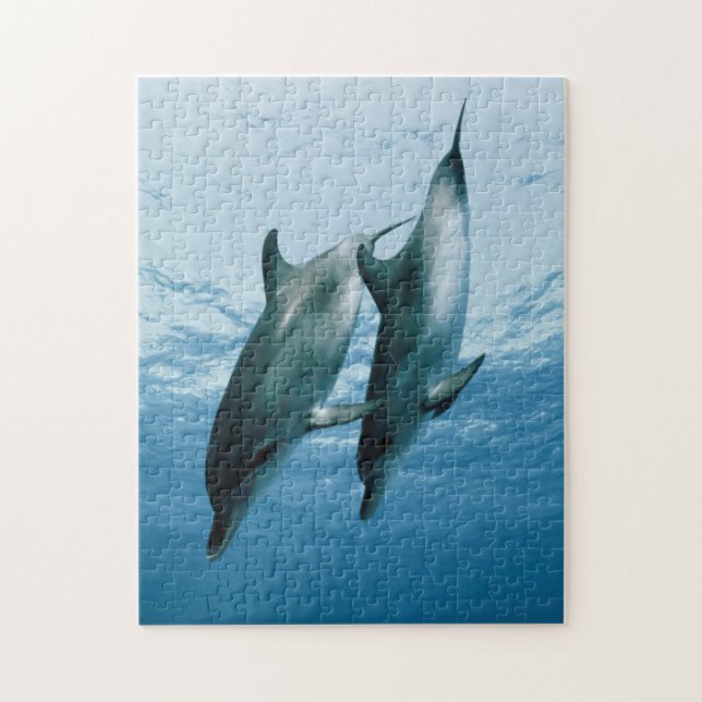 Pair of Dolphins Jigsaw Puzzle (Vertical)
