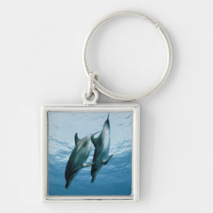 Pair of Dolphins Key Ring