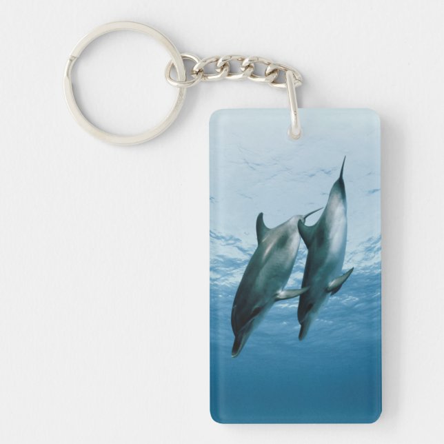 Pair of Dolphins Key Ring (Front)