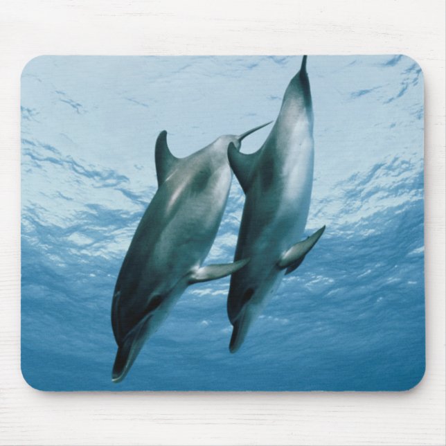 Pair of Dolphins Mouse Mat (Front)