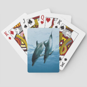 Pair of Dolphins Playing Cards