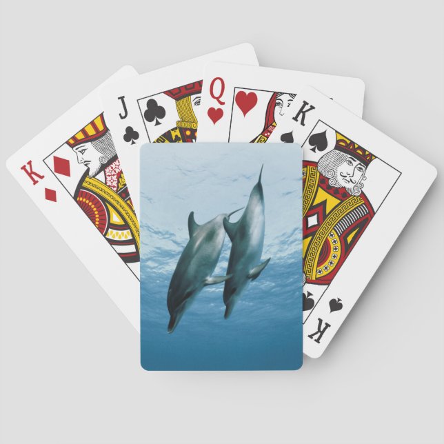 Pair of Dolphins Playing Cards (Back)