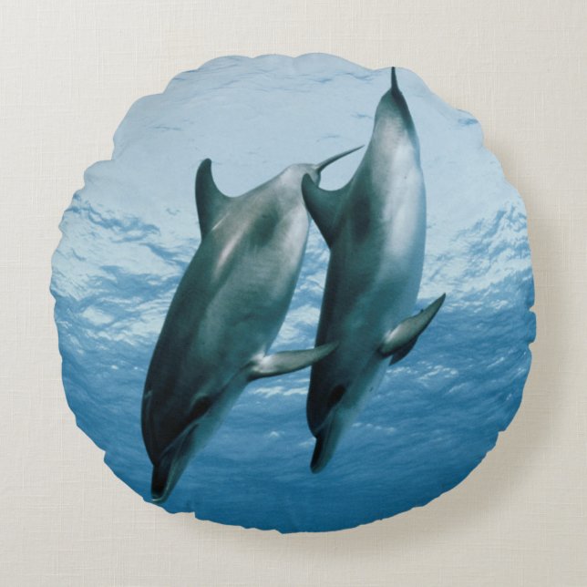 Pair of Dolphins Round Cushion (Front)