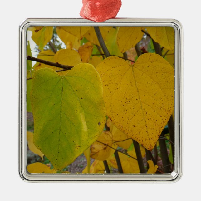 Pair of Fall Redbud Leaves Autumn Photography Metal Tree Decoration (Front)