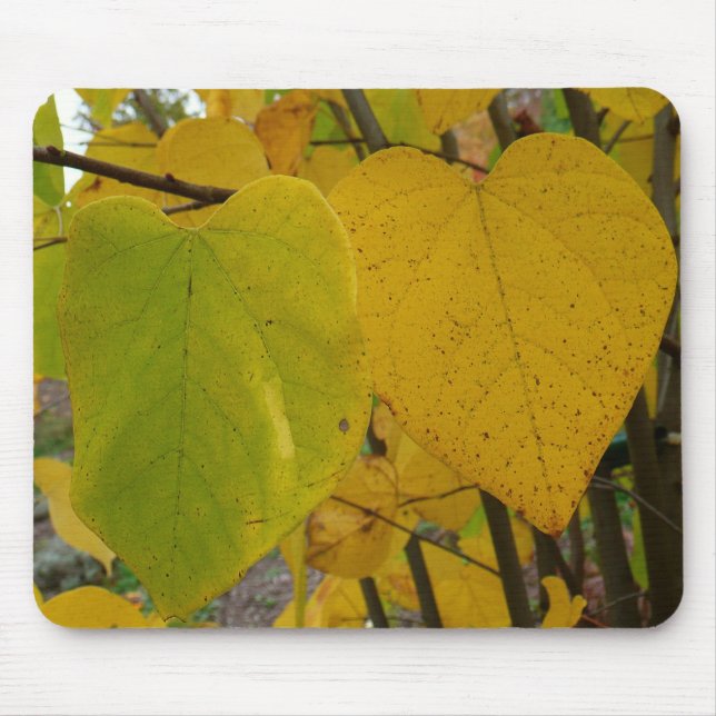 Pair of Fall Redbud Leaves Autumn Photography Mouse Mat (Front)