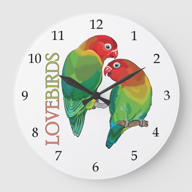 pair of fischer"s lovebirds parrots large clock (Front)