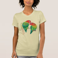pair of fischer"s lovebirds parrots