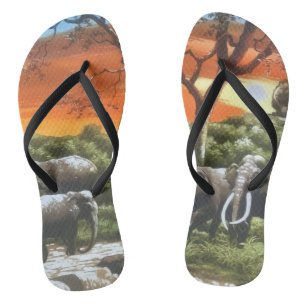 Pair of Flip Flops