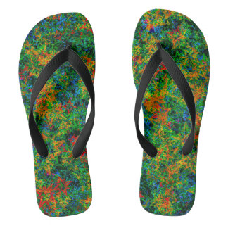 Pair of Flip Flops
