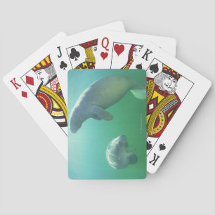 Pair of florida manatees swimming playing cards
