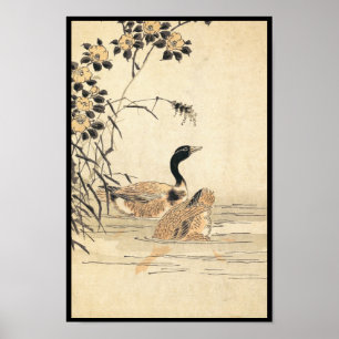 Pair of Geese with Camellias vintage japanese art Poster