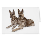 Pair of German Shepherd Dogs