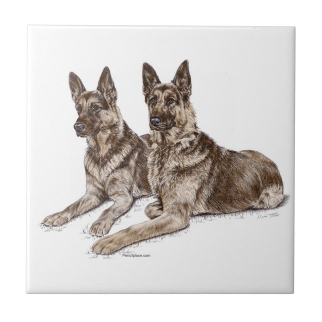Pair of German Shepherd Dogs Tile (Front)