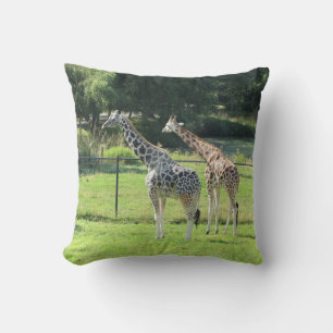 Pair of Giraffes Cushion