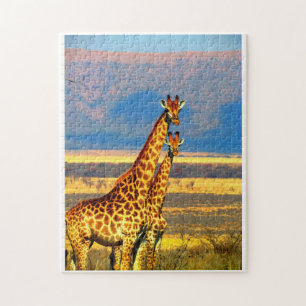 Pair of Giraffes. Jigsaw Puzzle