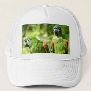 Pair of Green Parrots Hat