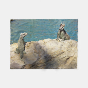 Pair of Iguanas Tropical Wildlife Photography Fleece Blanket