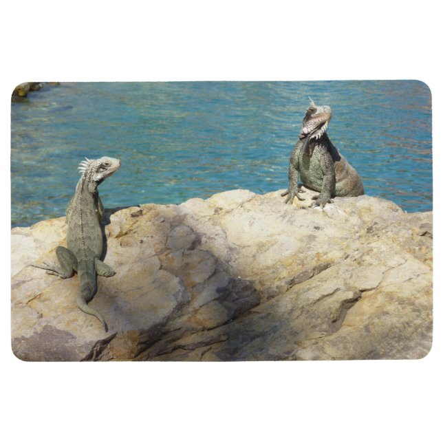 Pair of Iguanas Tropical Wildlife Photography Floor Mat (Front)