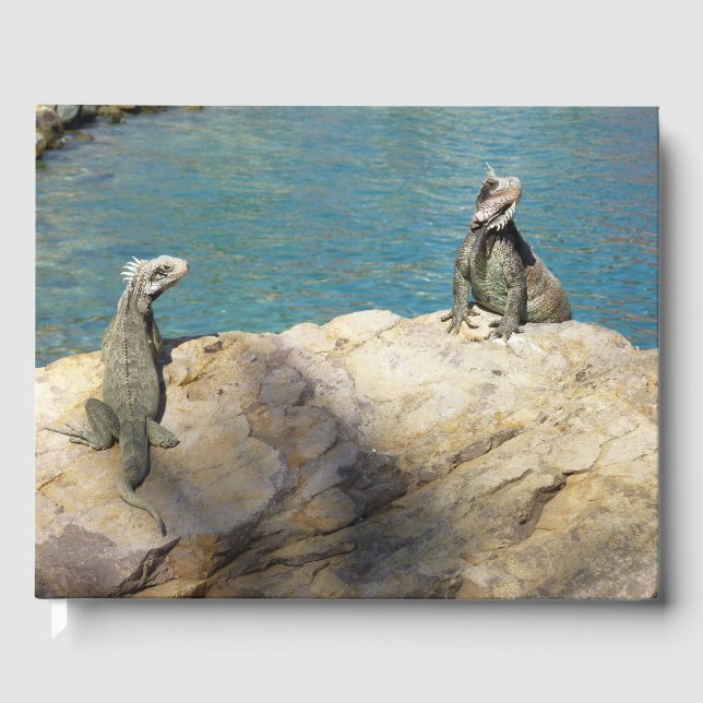 Pair of Iguanas Tropical Wildlife Photography Guest Book (Front)