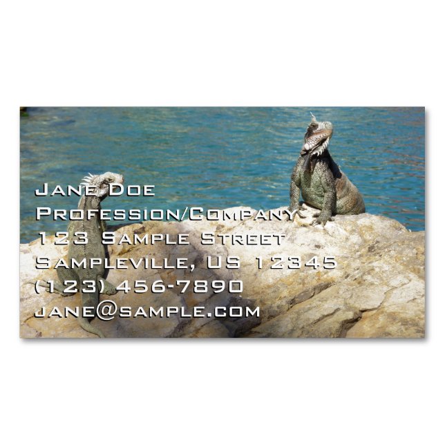Pair of Iguanas Tropical Wildlife Photography Magnetic Business Card (Front)
