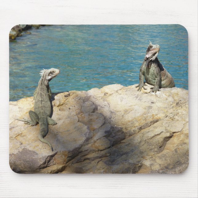 Pair of Iguanas Tropical Wildlife Photography Mouse Mat (Front)