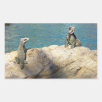 Pair of Iguanas Tropical Wildlife Photography