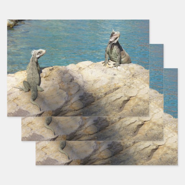 Pair of Iguanas Tropical Wildlife Photography Wrapping Paper Sheet (Set)