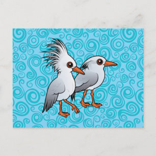 Pair of Kagu Postcard