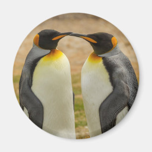 Pair of King Penguins, Falklands Magnet