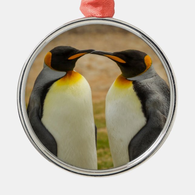 Pair of King Penguins, Falklands Metal Tree Decoration (Front)