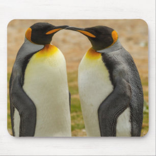 Pair of King Penguins, Falklands Mouse Mat