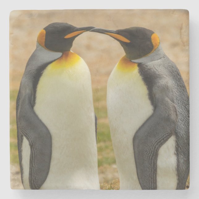 Pair of King Penguins, Falklands Stone Coaster (Front)