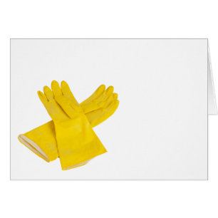 Pair of latex gloves