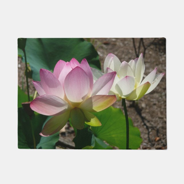 Pair of Lotus Flowers I Doormat (Front)