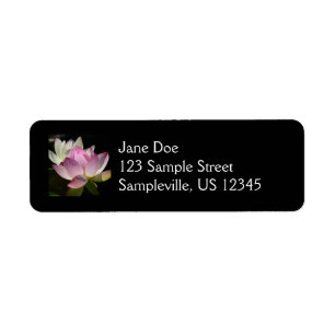 Pair of Lotus Flowers II