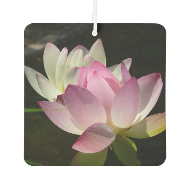Pair of Lotus Flowers II Car Air Freshener (Front)