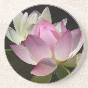 Pair of Lotus Flowers II Coaster
