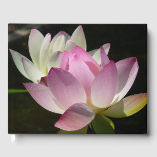 Pair of Lotus Flowers II Guest Book