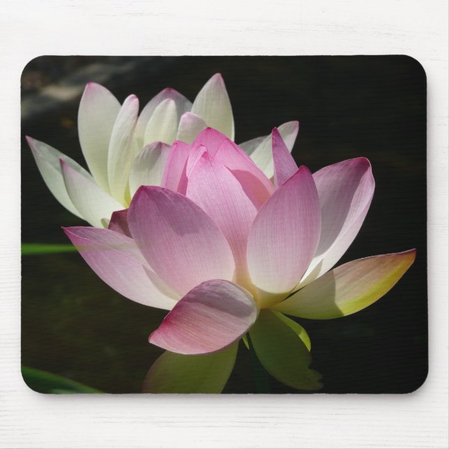 Pair of Lotus Flowers II Mouse Mat (Front)