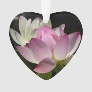 Pair of Lotus Flowers II Ornament