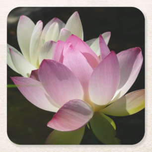 Pair of Lotus Flowers II Square Paper Coaster
