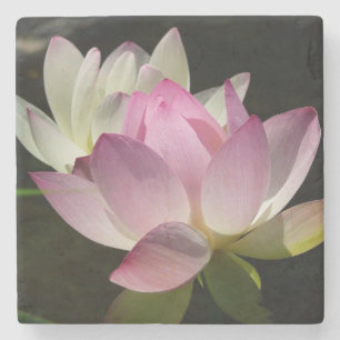 Pair of Lotus Flowers II Stone Coaster