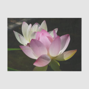 Pair of Lotus Flowers II Tissue Paper