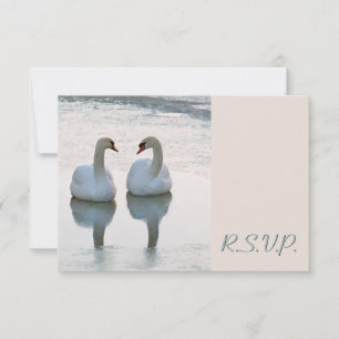 Pair of Lovebird Swans Gazing Wedding RSVP Card