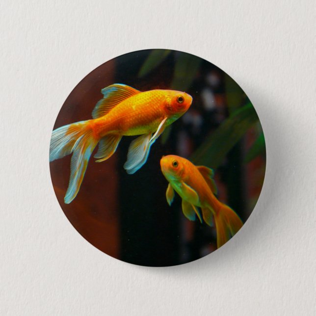 Pair of Lucky Goldfish 6 Cm Round Badge (Front)