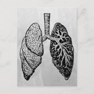 pair of lungs postcard