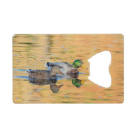 Pair of Mallards