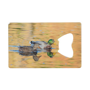 Pair of Mallards
