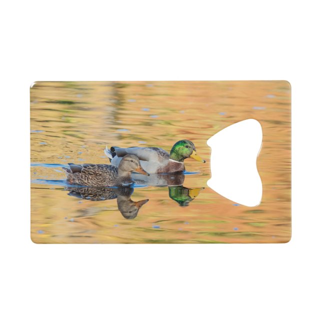 Pair of Mallards (Front (Horizontal))